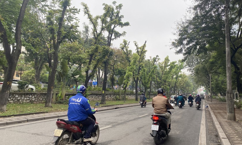 Dự báo thời tiết 1612 Miền Bắc ấm lên, Tây Nguyên và Nam Bộ có mưa rào