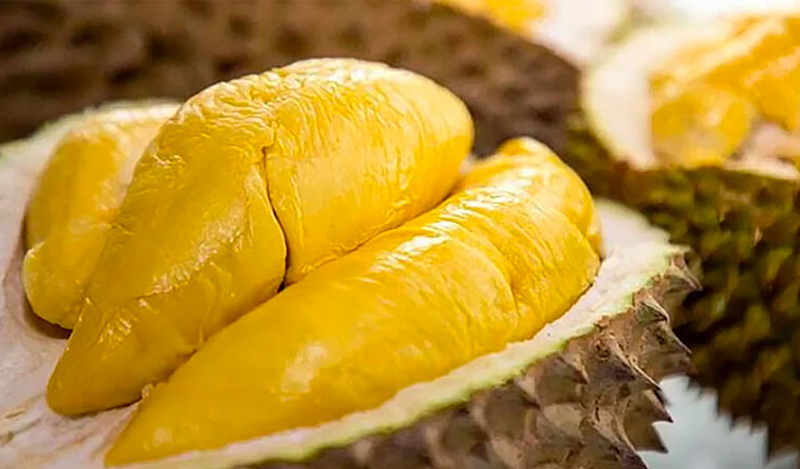 Xuất khẩu sầu riêng mang về hơn 3,1 tỷ USD chỉ trong 11 tháng