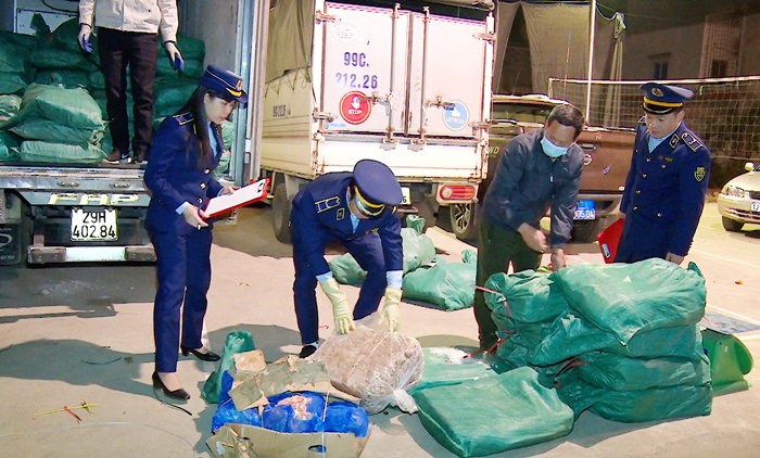 Phát hiện xe tải chở hơn 2,7 tấn lòng bò bốc mùi từ Lạng Sơn về Hà Nội