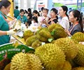Sầu riêng Việt Nam gia tăng thị phần mạnh mẽ tại Trung Quốc 