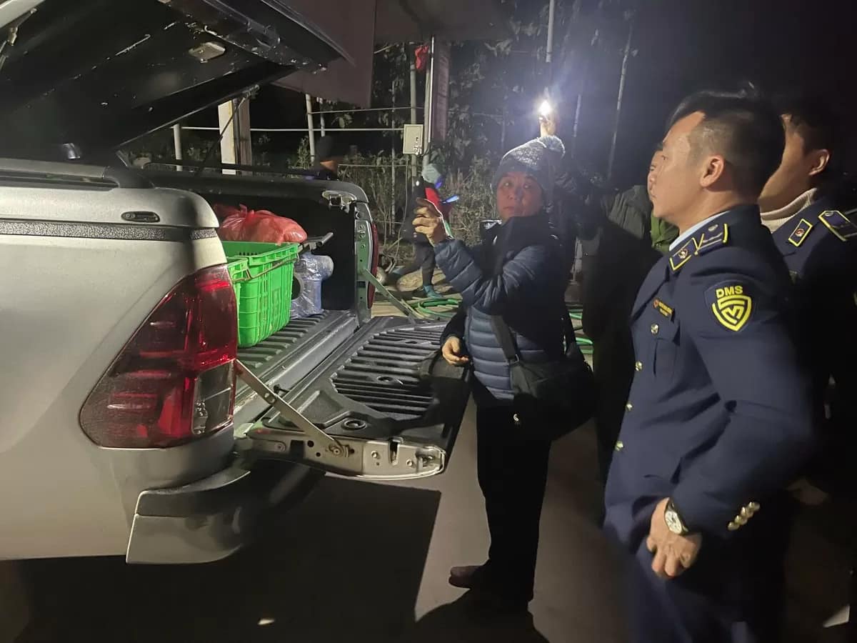 Hưng Yên Hai đối tượng vận chuyển 170kg thịt bò phân huỷ bị xử phạt