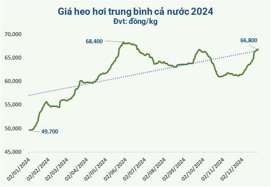 Thấy gì từ giá heo hơi 2024