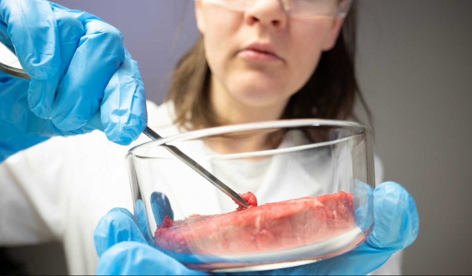 Nhu cầu tăng mạnh, thịt nuôi cấy ngày càng phổ biến ở châu Á