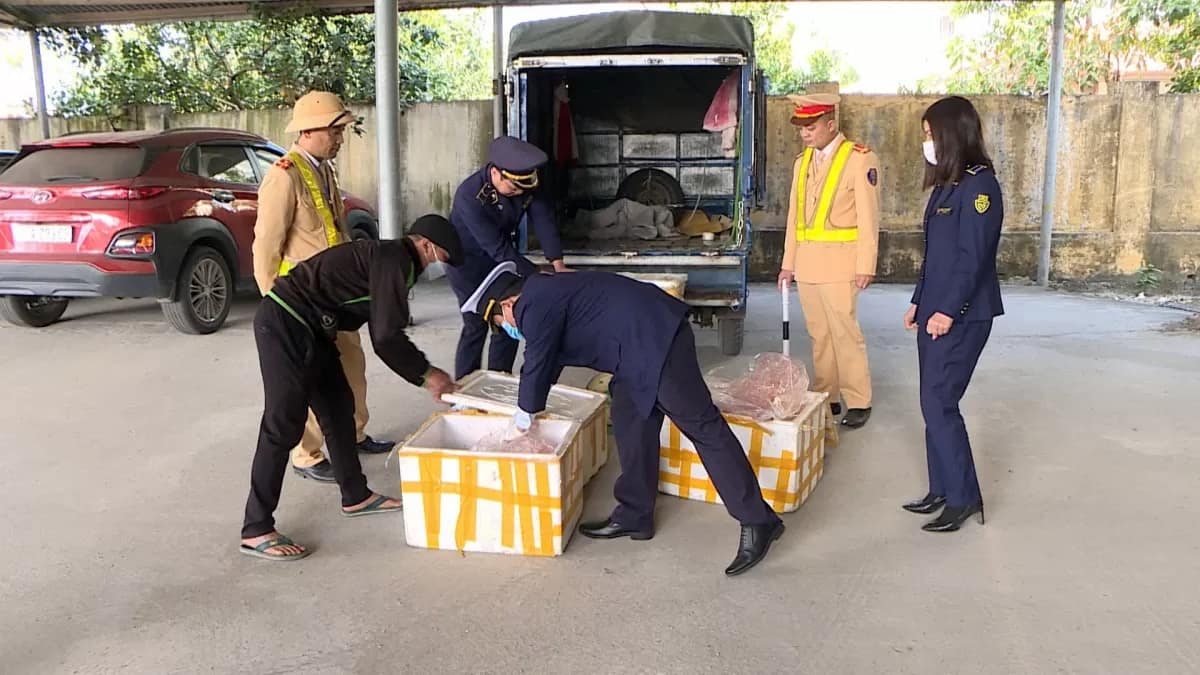 Phú Thọ Ngăn chặn vụ vận chuyển hàng trăm kg nội tạng không bảo đảm vệ sinh