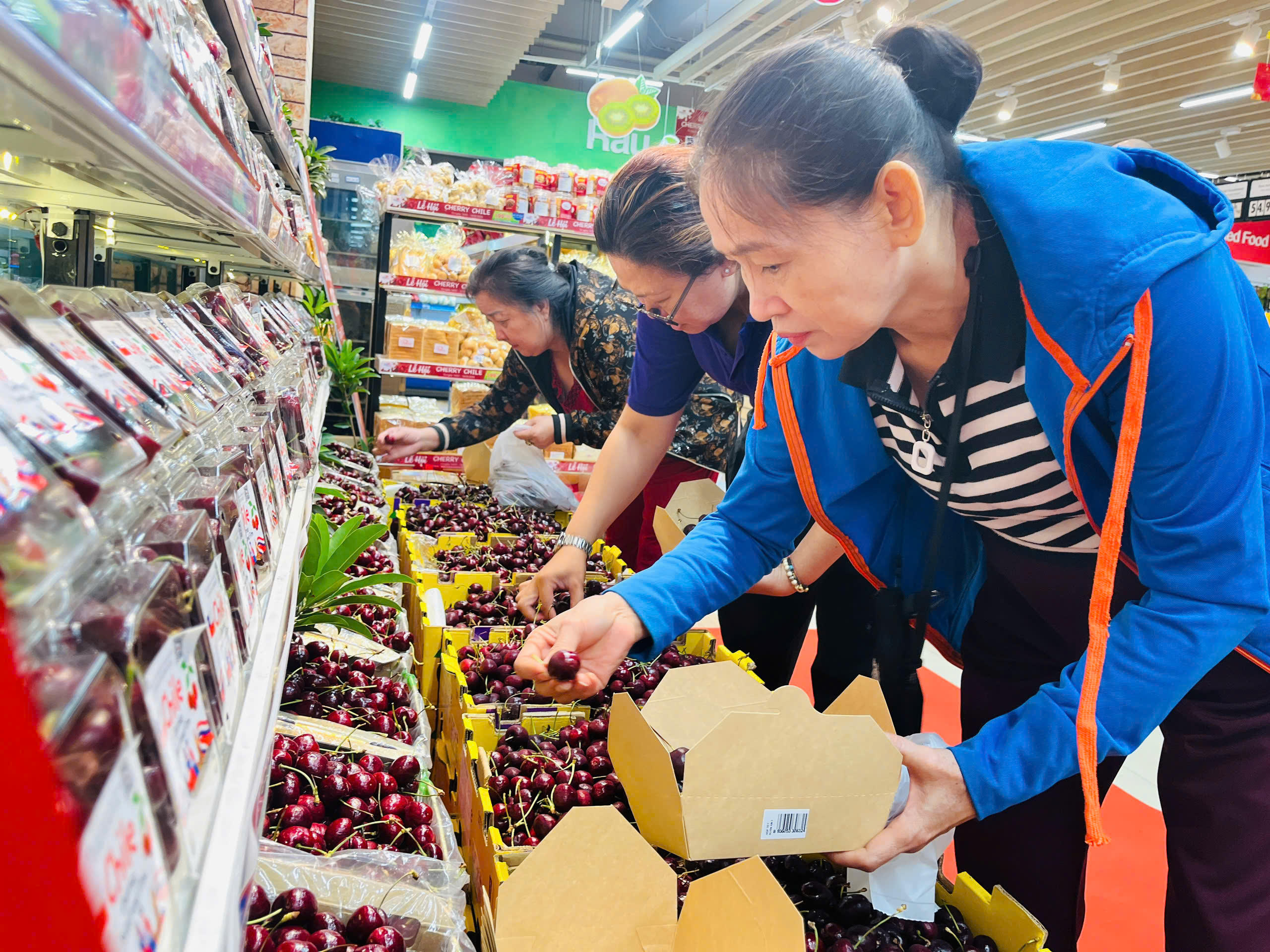 100 tấn cherry chile tươi vào Co.opmart, Co.opxtra đón tết Việt