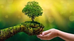 Nhiều triển vọng từ nỗ lực thúc đẩy chuyển đổi số và chuyển đổi xanh