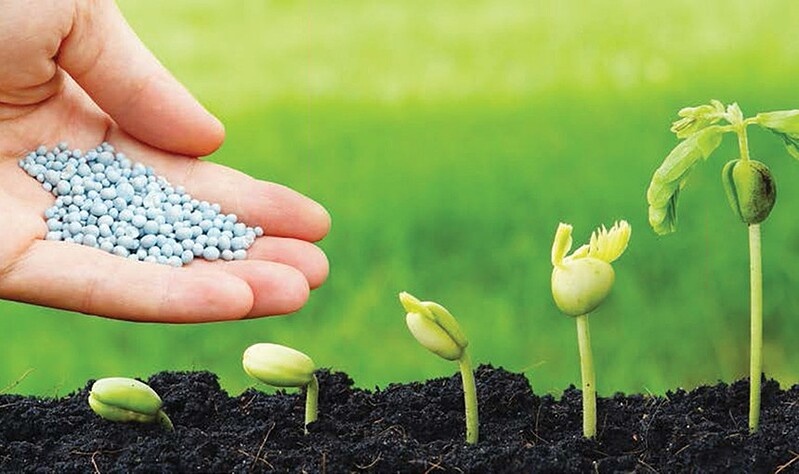 Ngành phân bón Cơ hội và thách thức trong giai đoạn mới