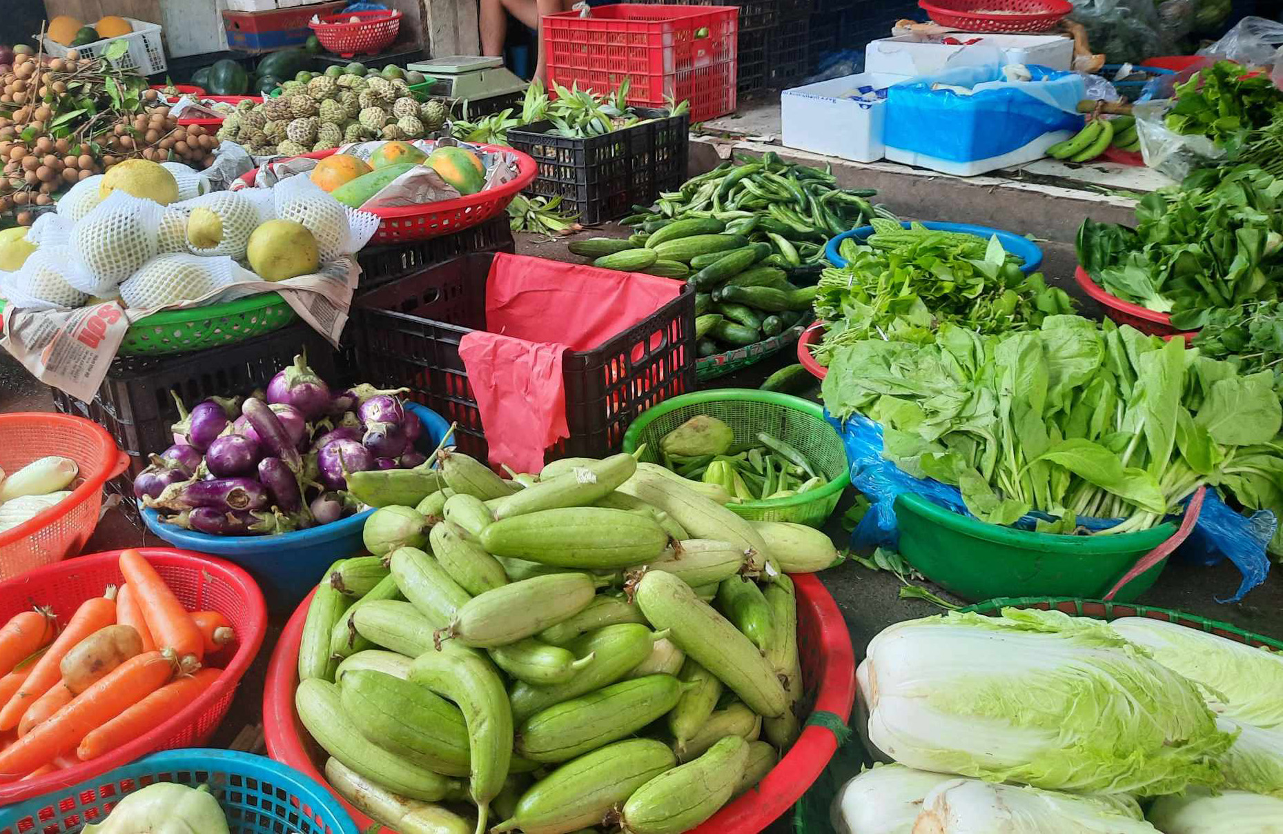 Hoạt động mua bán đã trở lại bình thường, chợ đầy rau xanh