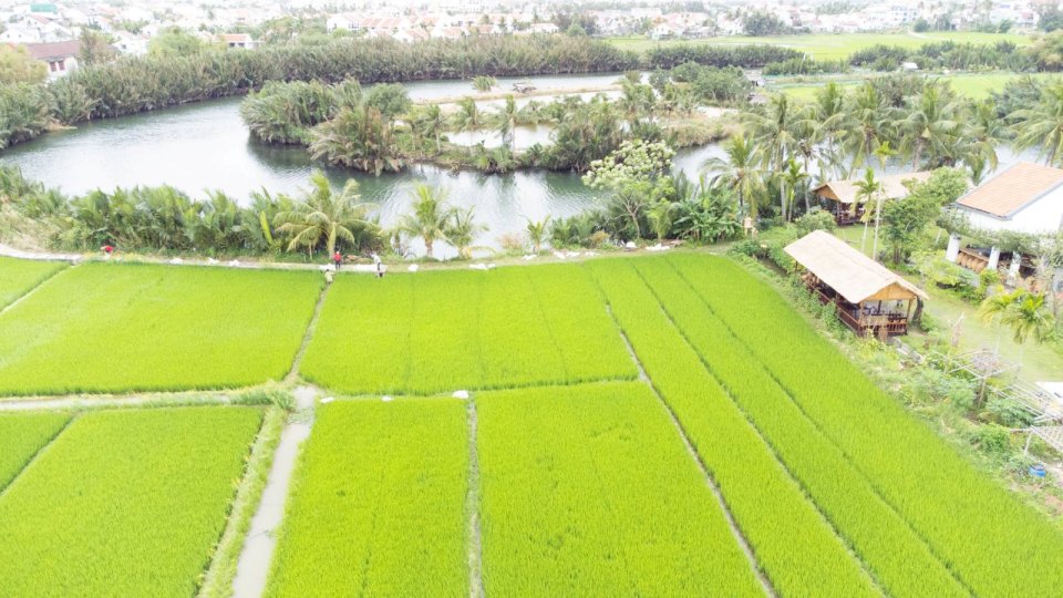 Bộ Tài chính đề xuất thêm 10 trường hợp được miễn, giảm tiền sử dụng đất, tiền thuê đất