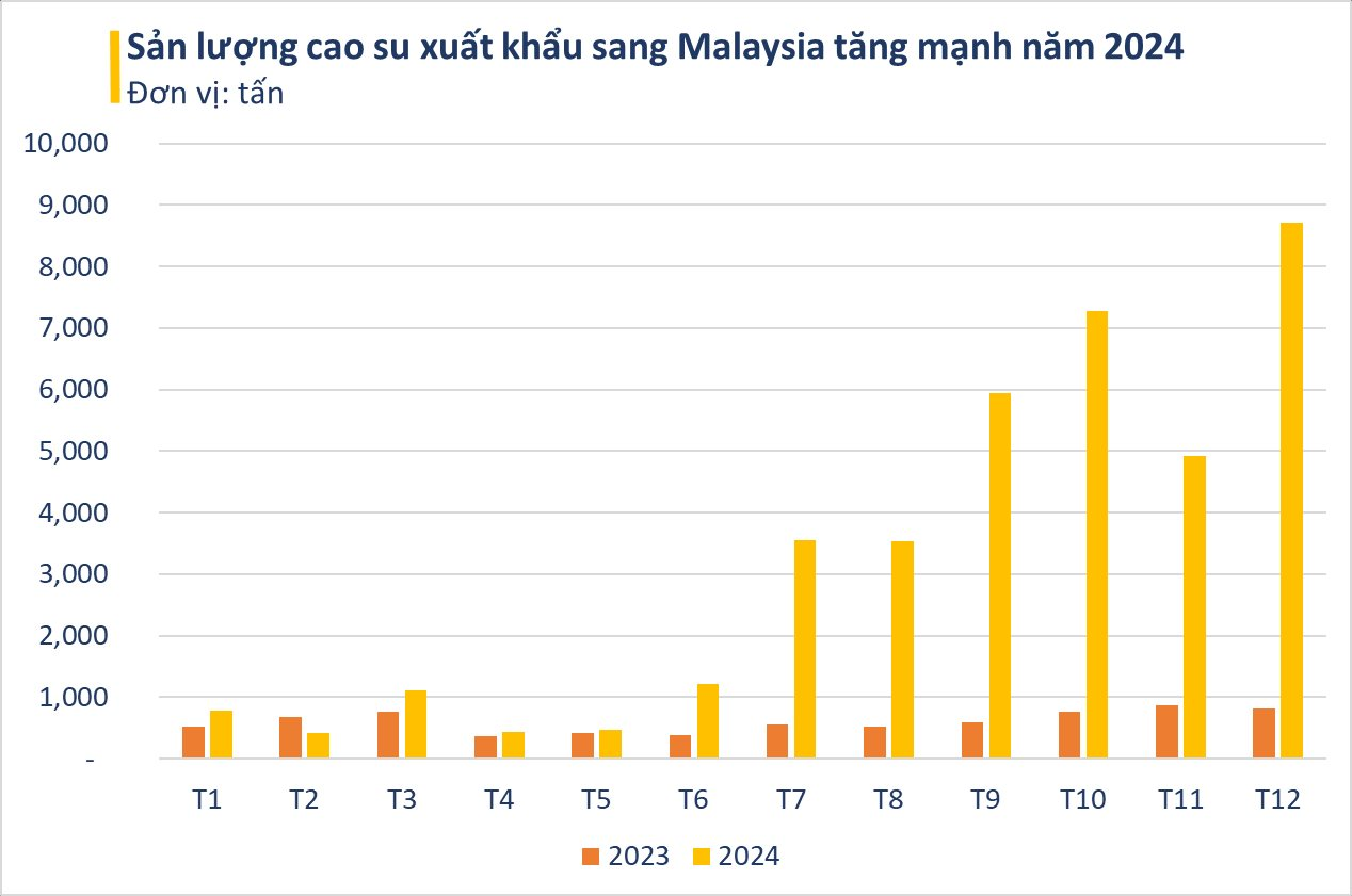 Năm 2024 xuất khẩu cao su của Việt Nam thu về hơn 34 tỷ USD