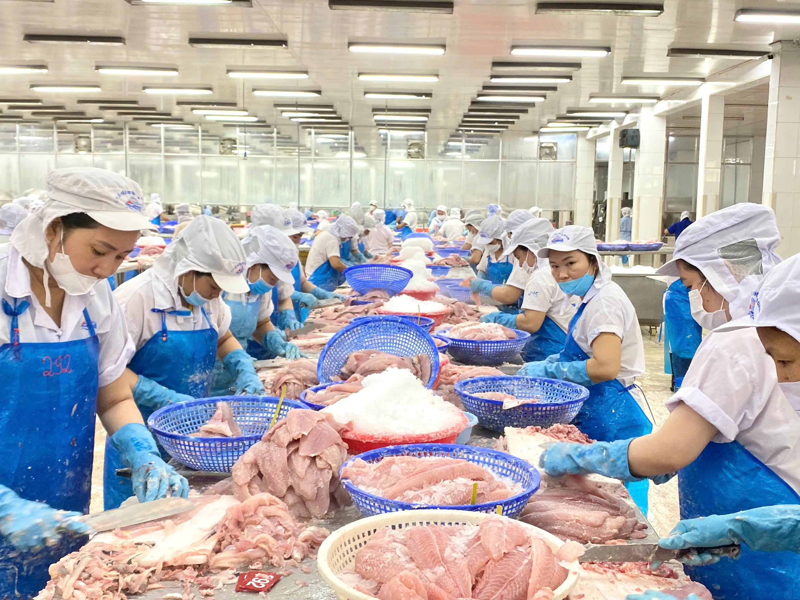 Cơ hội và thách thức của ngành thủy sản Việt Nam trong bối cảnh thuế quan mới của Hoa Kỳ