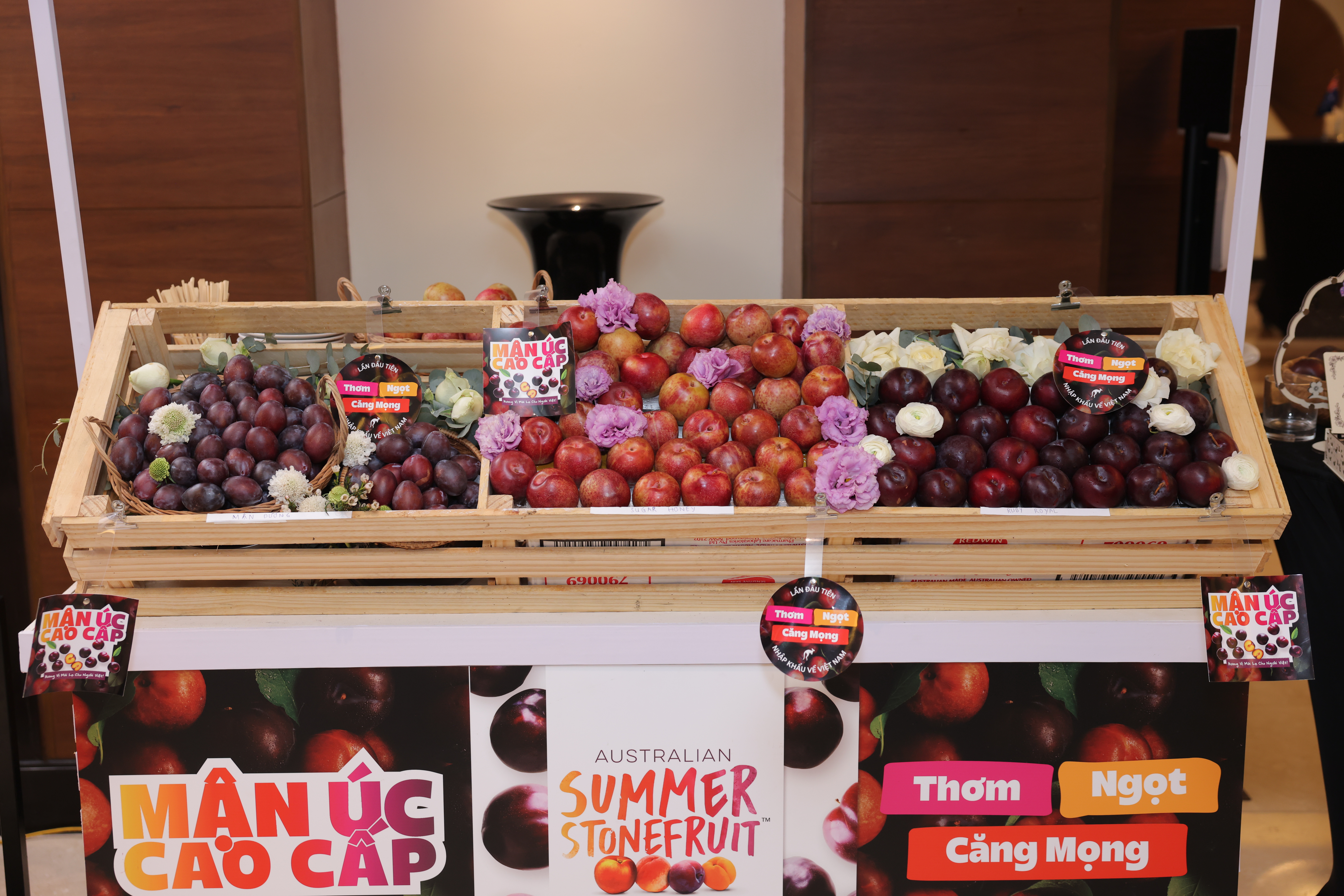 Mận Úc lần đầu ra mắt tại Việt Nam với các sự kiện ra mắt đặc biệt