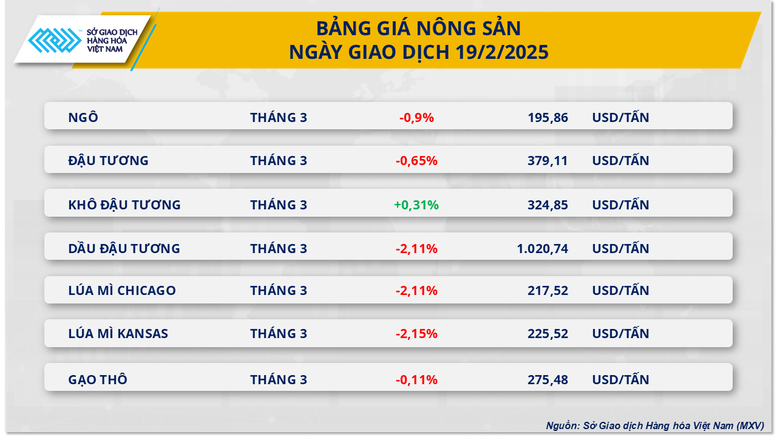 Thị trường hàng hóa 202 