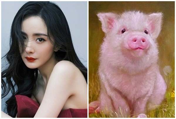 Tử vi 3 con giáp may mắn nhất Chủ nhật (232), phú quý đủ đường, vận may ngập lối