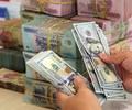Kho bạc Nhà nước đẩy mạnh mua USD tỷ giá chịu thêm áp lực 