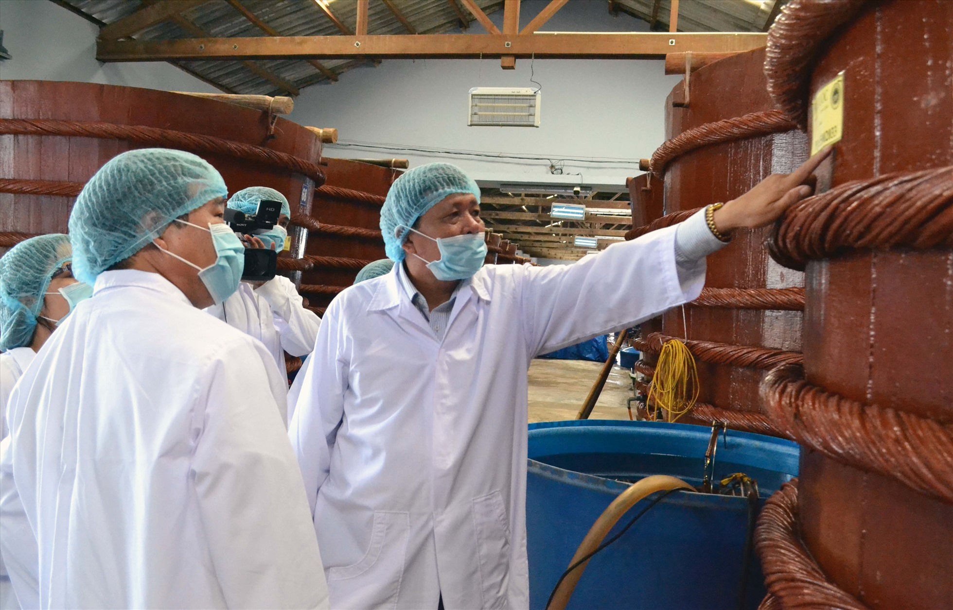 Nạn giả mạo chỉ dẫn địa lý Mang danh “đặc sản” nhưng không đạt chất lượng 