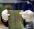 Hai công ty lâm nghiệp tại Yên Bái bị cưỡng chế thuế hàng chục tỷ đồng 