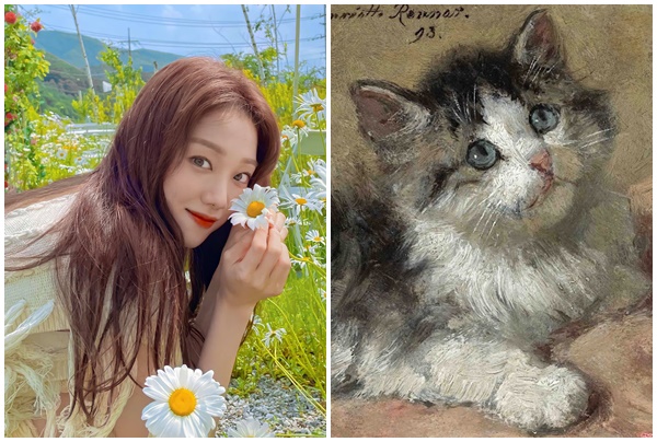 Tử vi 12 con giáp thứ Tư ngày 532025 Dần hao hụt tiền, Mão mệt mỏi vì công việc