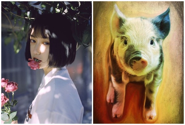 Quý nhân nâng đỡ, top 3 con giáp phú quý vây quanh, âm thầm kiếm bội tiền không để ai biết 