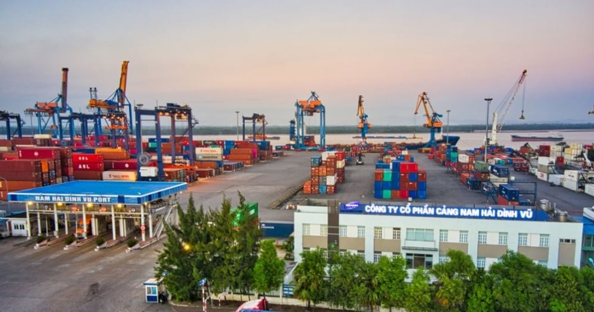 Đính chính báo cáo tài chính, lợi nhuận Viconship bốc hơi gần 127 tỷ đồng