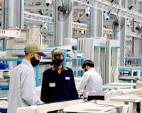 Thành lập Ban Chỉ đạo xây dựng Đề án Phát triển kinh tế tư nhân 