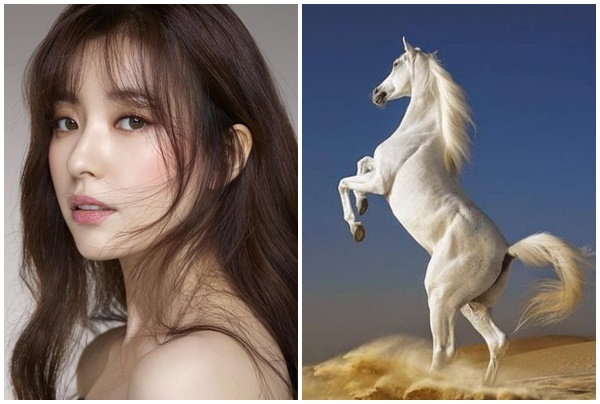 Thần Tài sủng ái đúng ngày 103, top 3 con giáp chạm ngõ giàu sang, tài vận khởi sắc