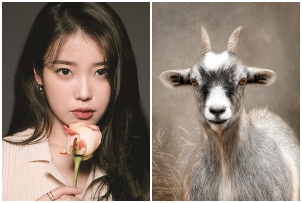 Đúng qua 19h tối ngày 1632025, 3 con giáp ngồi không hưởng phúc, phú quý đại tài