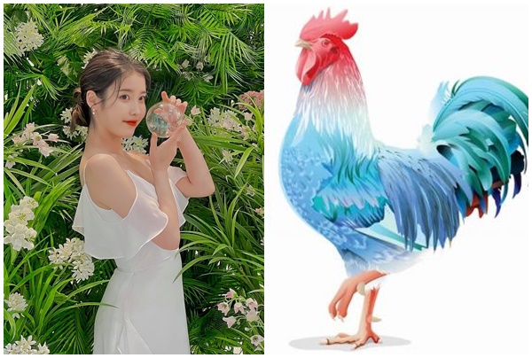 Trúng số đúng 2 ngày giữa tuần (19, 203), top 3 con giáp làm ăn thăng hạng, tiền đổ về ầm ầm