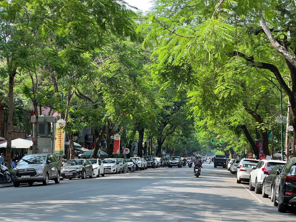 Dự báo thời tiết đêm nay và ngày mai 233 Hà Nội và các khu vực trên cả nước