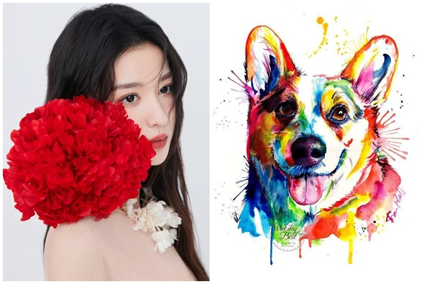 Tử vi 3 con giáp may mắn nhất thứ Ba (253) Giàu có trong tầm tay, tiêu tiền không phải nghĩ