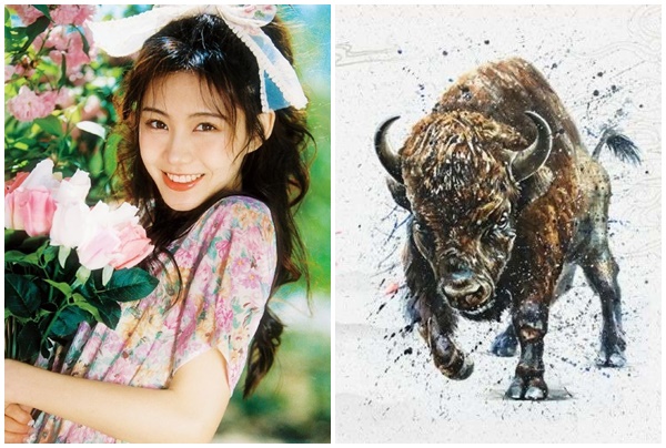 Tử vi 12 con giáp thứ Ba ngày 2532025 Sửu có tiền trên trời rơi xuống