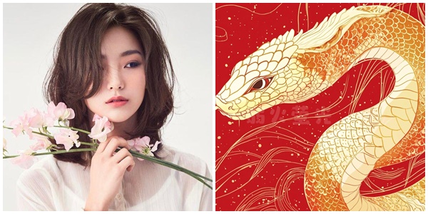 Tử vi 12 con giáp thứ Tư ngày 2632025 Tỵ chớ dại vung tiền đầu tư