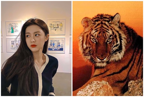 Tử vi 3 con giáp may mắn nhất thứ Sáu (283) Tài vận bùng nổ, làm ăn thăng hạng