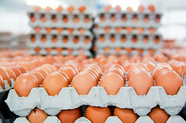  Singapore mở cửa thị trường đối với một số sản phẩm thịt và trứng của Việt Nam