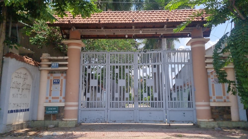 Vụ án Công ty Cây xanh Công Minh Hé lộ hệ thống công ty “sân sau” và chiêu trò gian lận thầu quy mô lớn