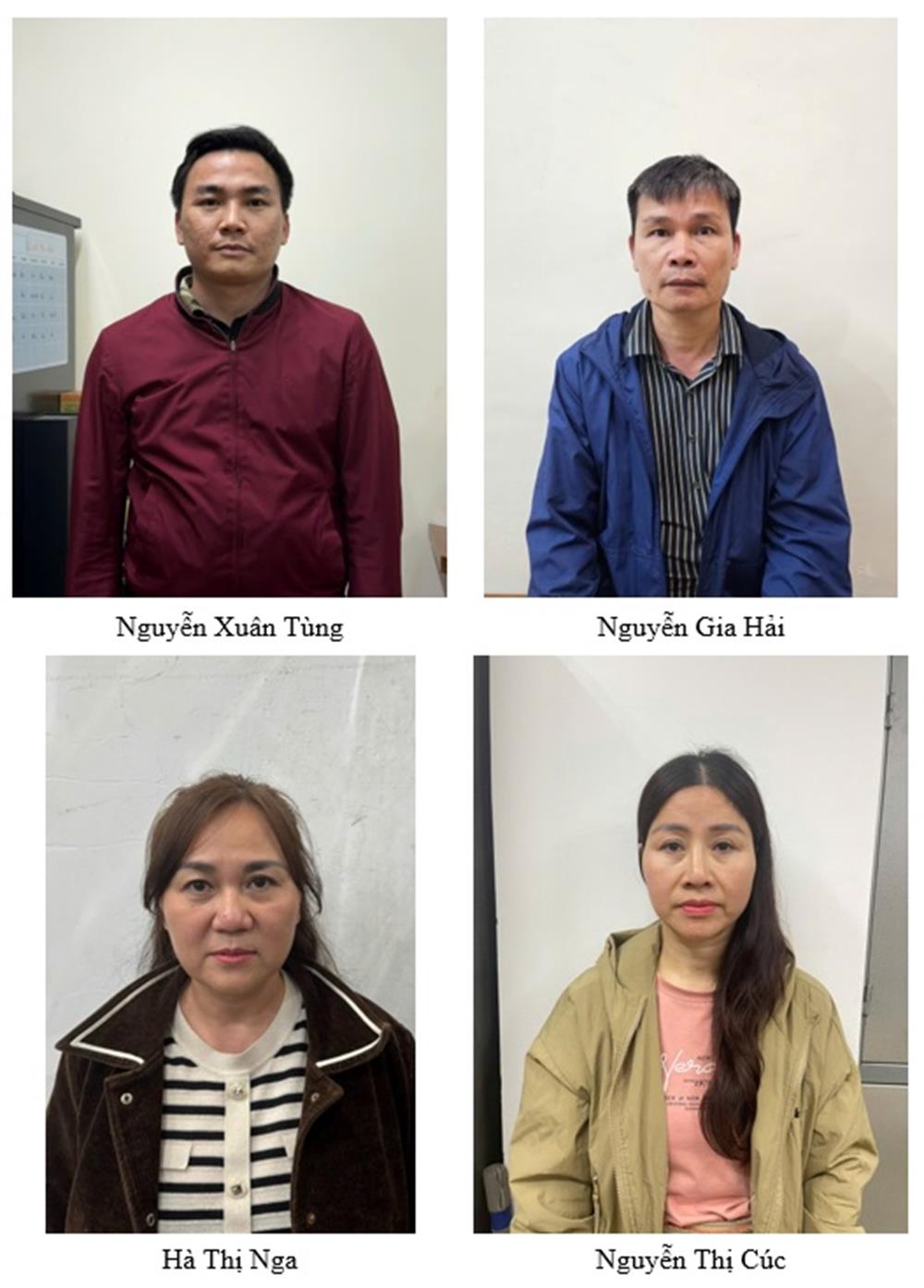 Vì sao Giám đốc CTCP Khoáng sản Thiên An Phát và đồng phạm bị bắt