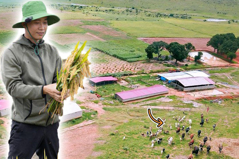 Choáng xem ảnh cận trang trại bạc tỷ rộng 14 ha của Quang Linh Vlog tại Châu Phi