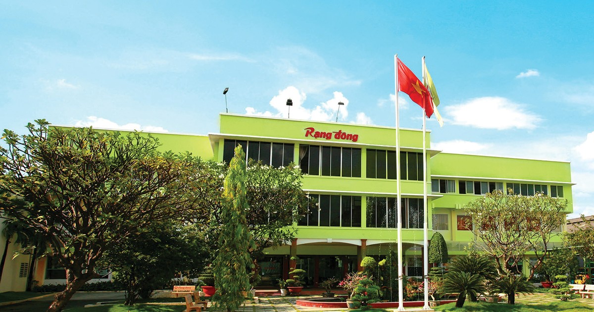 Cổ phiếu Rạng Đông Holding (RDP) đứng trước bờ vực hủy niêm yết