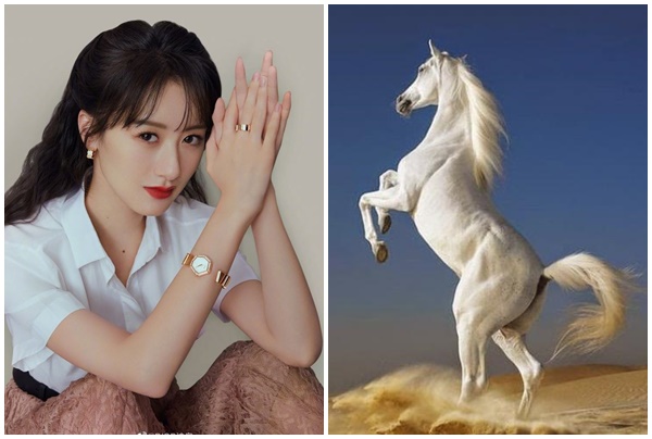 Tử vi 12 con giáp Chủ nhật ngày 1342025 Tài lộc dồi dào, cơ hội đầu tư sinh lời