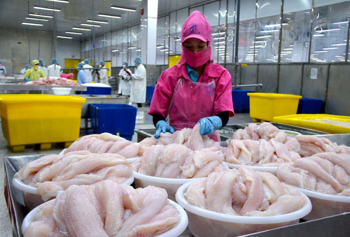 VASEP Doanh nghiệp cá tra cần chủ động đối phó với rủi ro thuế quan và mở rộng thị trường