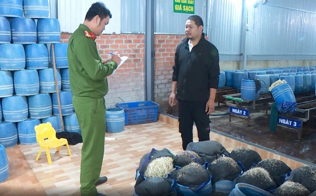 “Tử huyệt” hậu kiểm - Kỳ 4 “Trung thực” mất lối - “gian dối” mở đường