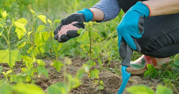 Tháo gỡ chồng chéo, mở đường cho doanh nghiệp phân bón bứt phá