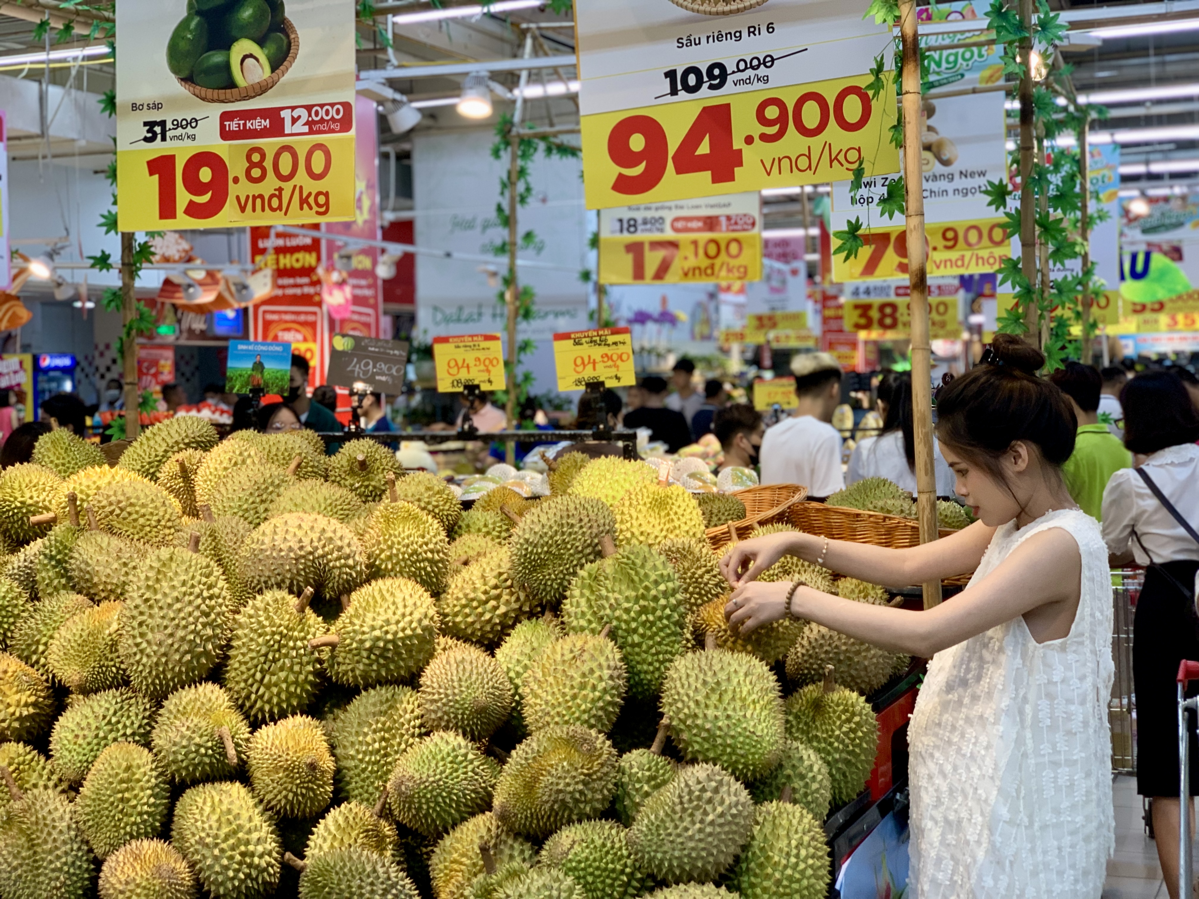 Giá sầu riêng hôm nay 194 Tăng giá nhẹ
