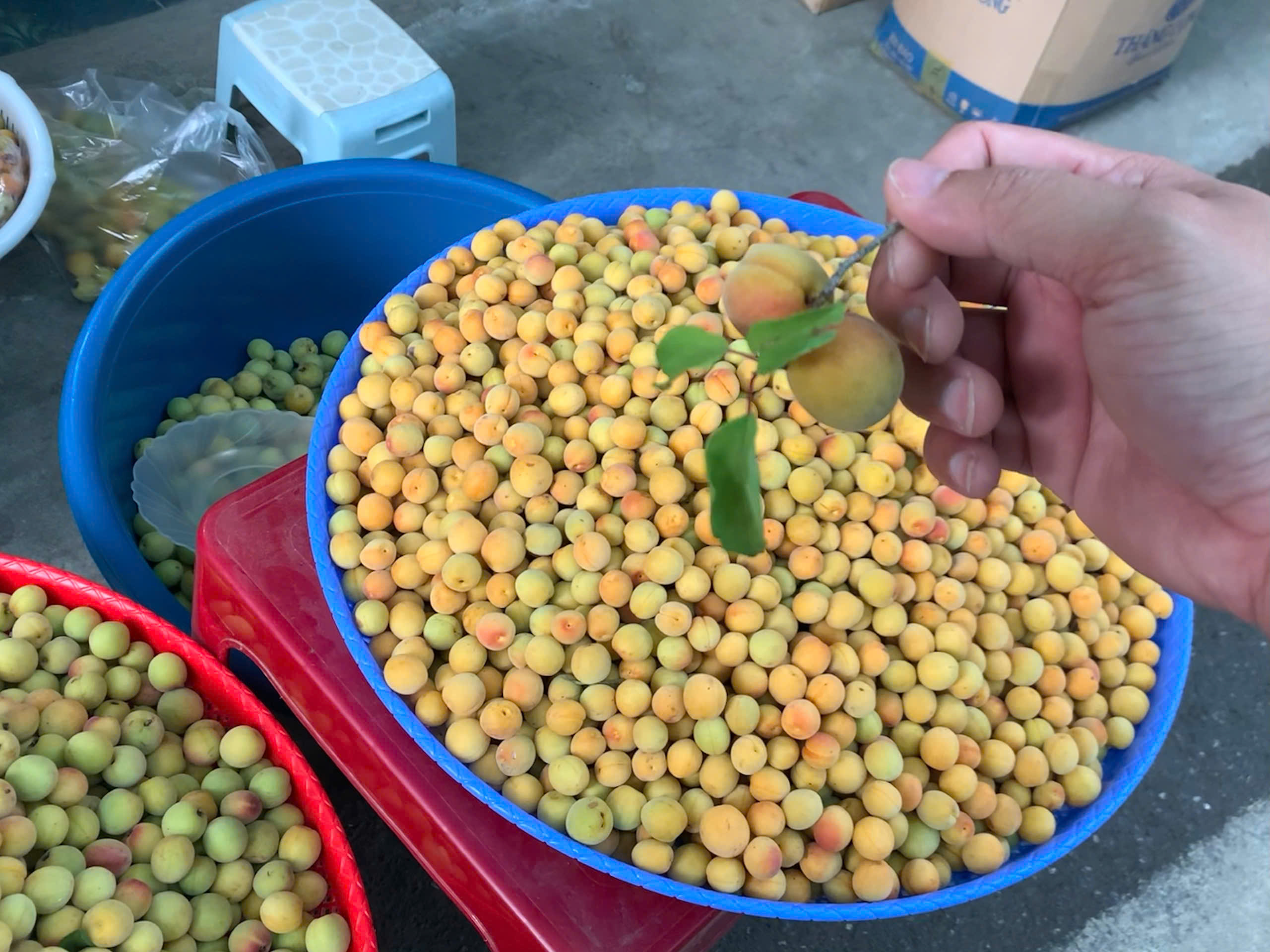 KHUNG CẢNH THIÊN NHIÊN HÙNG VĨ KẾT HỢP ĐỀN CHÙA LINH THIÊNG