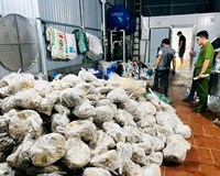 Hà Nội Khám xét 3 kho lạnh thu giữ hơn 10 tấn nội tạng trâu bò “bẩn” 