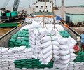 Siết chặt hoạt động xuất khẩu gạo 10 doanh nghiệp bị thu hồi giấy phép trong tháng 4 
