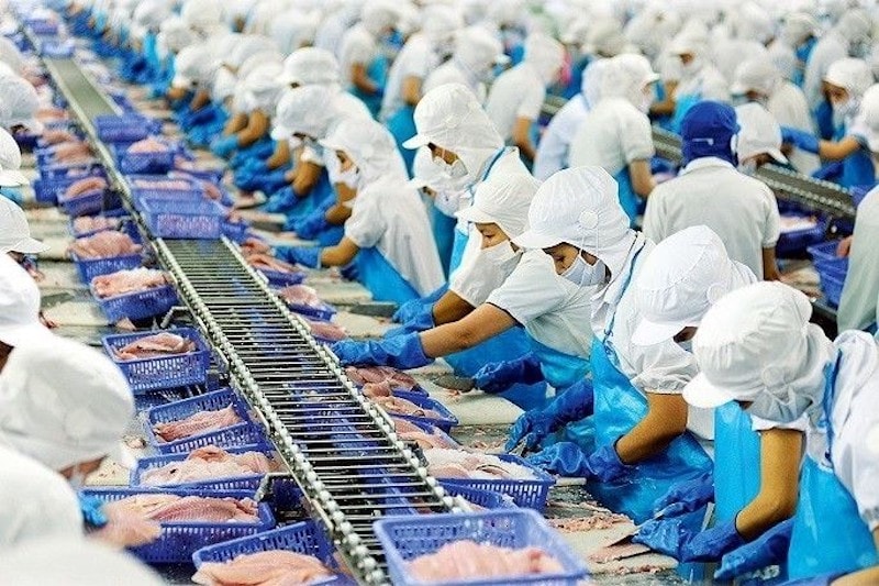 Xuất khẩu thủy sản sang Mỹ giảm do xáo trộn bởi thuế quan