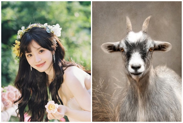 Tử vi 3 con giáp may mắn nhất thứ Sáu (95) Giàu có vang danh, phú quý đủ đường 