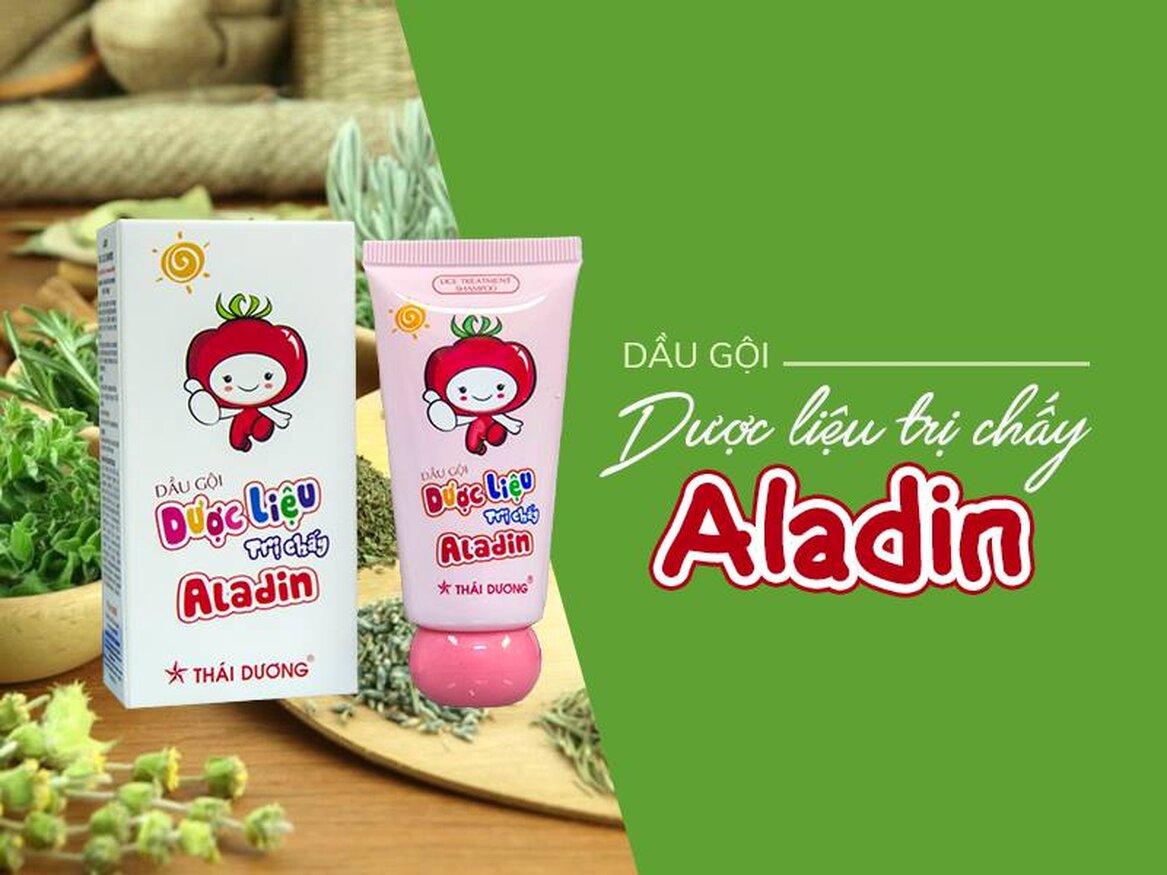 Dầu gội dược liệu sạch chấy Aladin sau thu hồi sẽ xử lý như nào