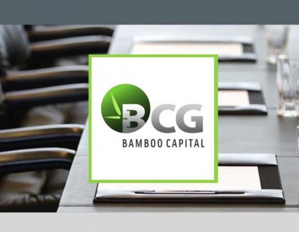 Tập đoàn Bamboo Capital bị phạt do vi phạm công bố thông tin liên quan trái phiếu